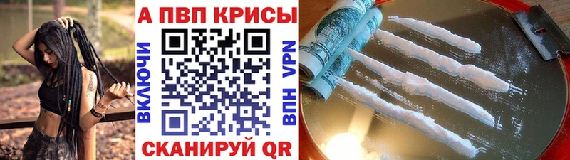 A-PVP СК блэк спрут как зайти Берёзовский